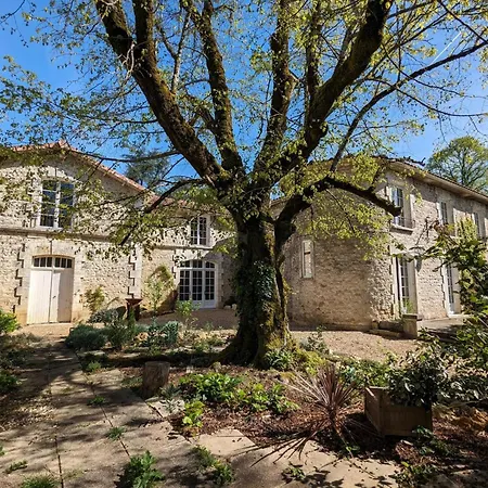 Grande Maison Avec Piscine Privee, Wifi Et Animaux Acceptes Pour 15 Pers. - Fr-1-653-282