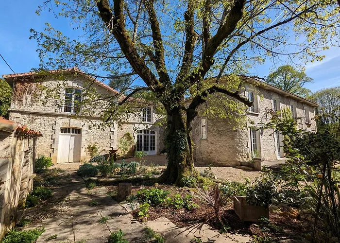 Grande Maison Avec Piscine Privée, Wifi Et Animaux Acceptés Pour 15 Pers. - Fr-1-653-282