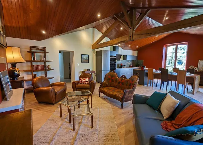 Grande Maison Avec Piscine Privée, Wifi Et Animaux Acceptés Pour 15 Pers. - Fr-1-653-282